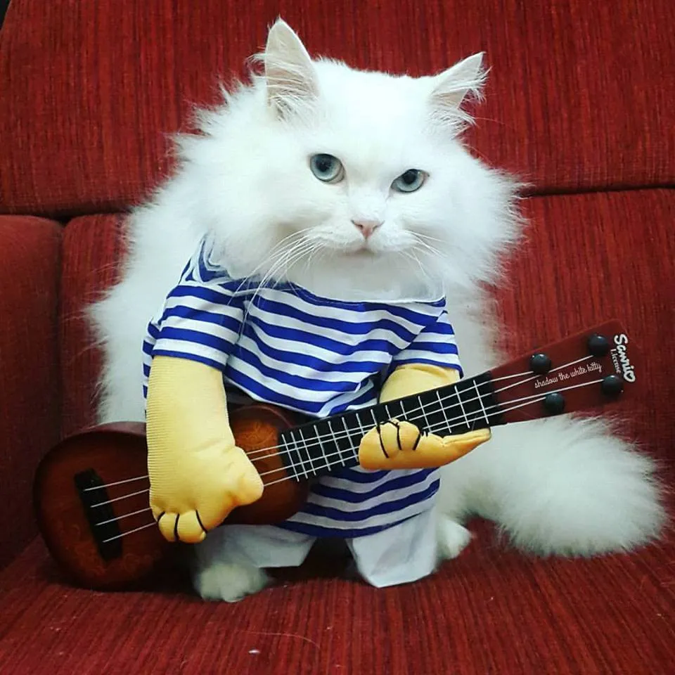 Rockstar Pet Costume with Wooden Guitar